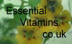 EssentialVitamins.co.uk - Vitamins, nutrition supplements, minerals and healthcare products.